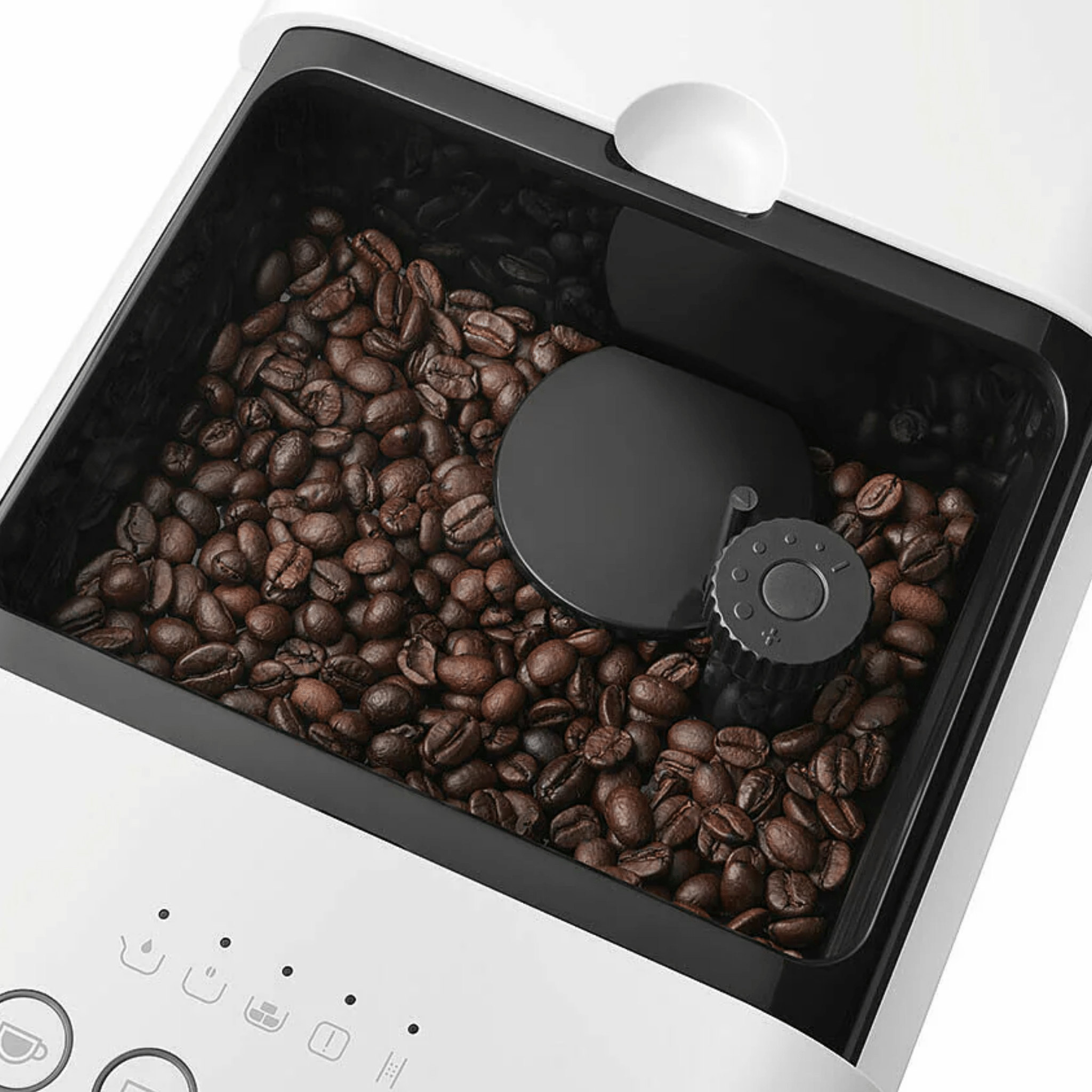 Smeg - BCC13 Bean To Cup Coffee Machine by Smeg – Pro Coffee Machine
